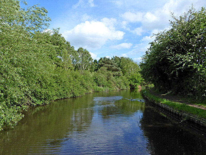 Canal near Ashwood in Staffordshire © Roger D Kidd :: Geograph Britain ...