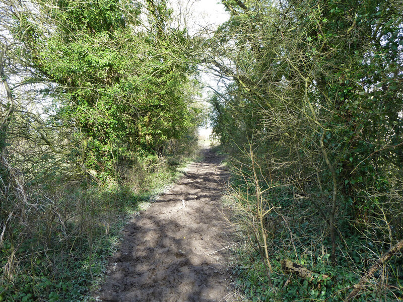 Bridleway 2251, Storrington and... © Robin Webster :: Geograph Britain ...