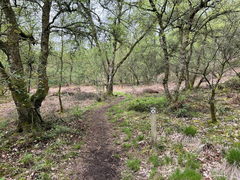 Path through Hawksmoor NT © Jonathan Hutchins Geograph Britain and