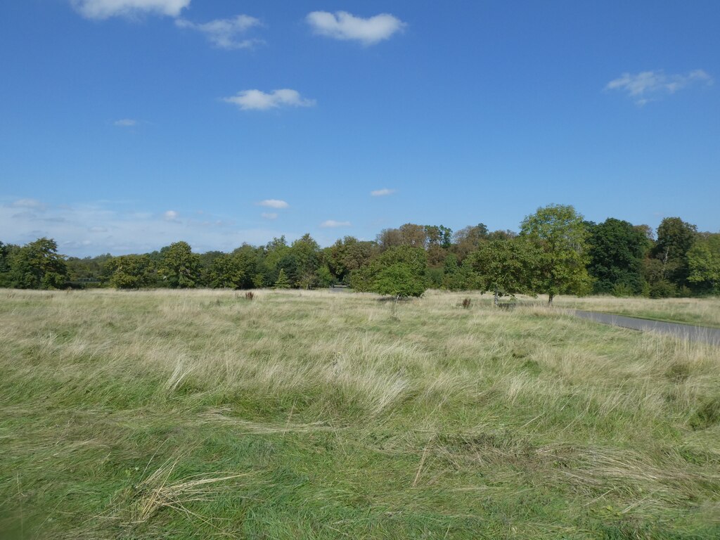 woodland-on-the-north-of-waddesdon-manor-david-smith-geograph