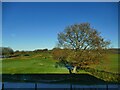 SD6326 : Pleasington golf course by Stephen Craven