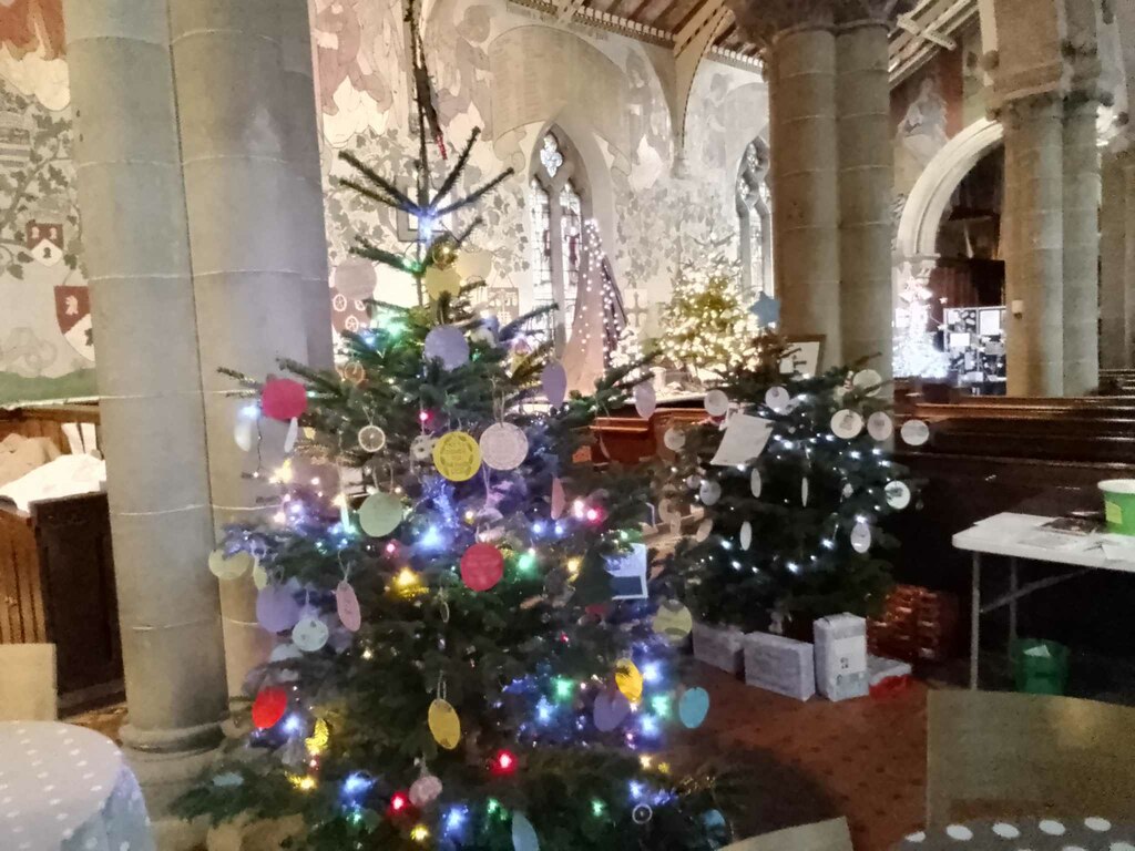 more-christmas-trees-in-all-saint-s-t-eyre-geograph-britain-and