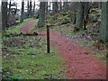 NT2438 : Waymark post, Cademuir Forest by Jim Barton