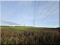 NZ3537 : Power line over farmland by Peter Bainbridge