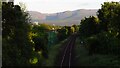 V9691 : Railway line entering Killarney from the north as seen from Bridgefield by Colin Park