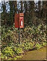 SO5602 : Queen Elizabeth II postbox, Hewelsfield Cross,  Gloucestershire by Jaggery