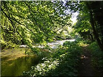 SK1072 : River Wye by Dani