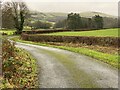 Country lane towards Coed Duon