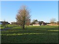 Part of the extensive village green at Newby