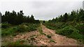 R8330 : Lisvarraine Dolmen Loop walk looking west towards Moanour Mountain by Colin Park