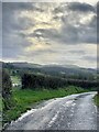 Country lane towards Myddfai