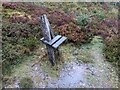 SN8388 : Seat by the Severn Way (Hafren Forest) by Fabian Musto