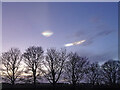 NT4171 : Winter Trees and Nacreous Clouds by Adam Ward