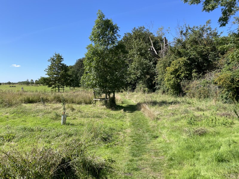 Footpath On Trumpington Meadows Mr Ignavy Geograph Britain And Ireland