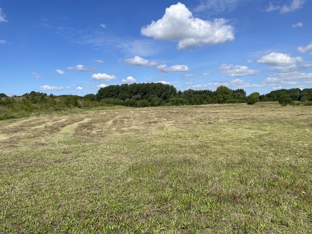 Edge of Trumpington Meadows © Mr Ignavy :: Geograph Britain and Ireland