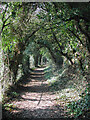SJ9022 : Footpath to Stafford Castle by Rod Grealish