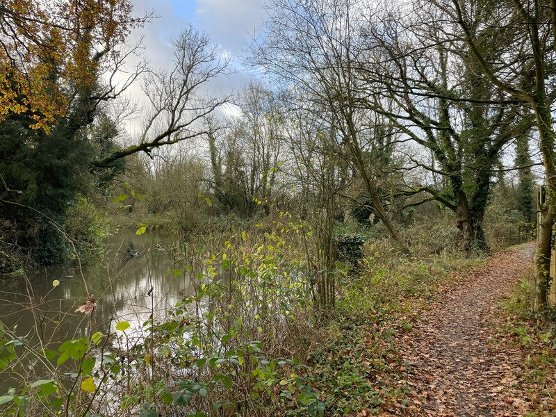 Basingstoke canal near Slade's Bridge © Mr Ignavy :: Geograph Britain ...