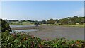 Mud flats looking towards Ardilea Bridge from Dundrum Coastal Path