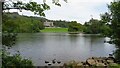 Castlewellan Forest Park - view to Castlewellan Castle across lake