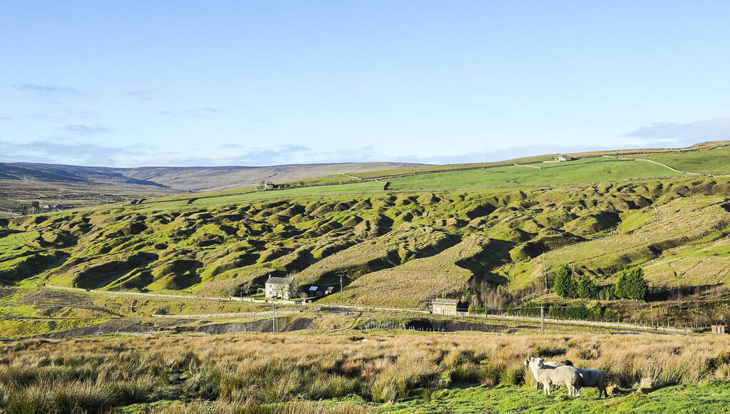 hill-slope-with-rushes-trevor-littlewood-geograph-britain-and-ireland