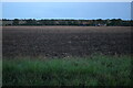 Fields by Vicarage Lane, Great Baddow