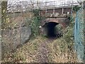 Foot tunnel and cattle creep near Norwood Farm