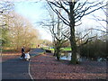 SJ5689 : Whittle Hall Park with Boxing Day walkers by David Hawgood