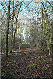 SE6333 : Path, Barlby Conservation Area, Barlby by habiloid