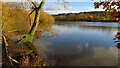 SJ9170 : Sutton Reservoir near Oakgrove by Colin Park
