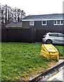 Yellow on green, Teynes, Coed Eva, Cwmbran