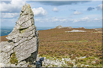 SO3698 : Manstone Rock by Ian Capper