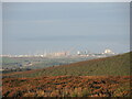 Hinckley from Black Hill