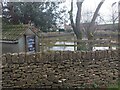 ST8382 : Alderton Duck Pond by HelenK