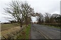 NZ2069 : Ponteland Road west of Woolsington Grange by DS Pugh