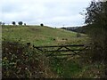 TA2170 : Hillside grazing, Danes Dyke by JThomas