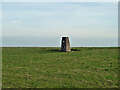 TQ0512 : Triangulation pillar, Rackham Hill by Robin Webster