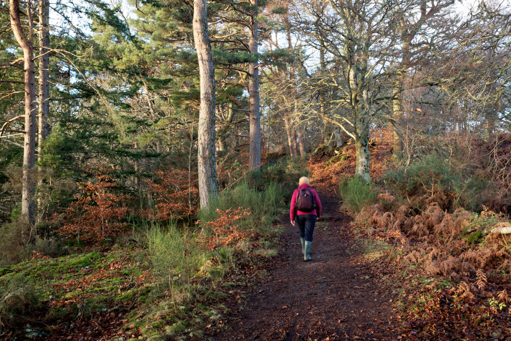 Riverside Path By The River Beauly In © Julian Paren :: Geograph 