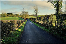 H4769 : Edenderry Road, Aghagallon by Kenneth  Allen