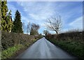 SJ7552 : Lane to Barthomley by Jonathan Hutchins