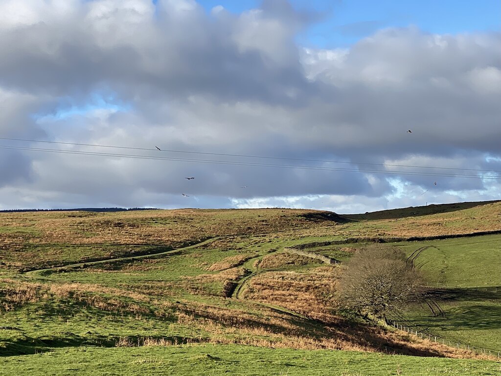 Cefn Merthyr © Alan Hughes :: Geograph Britain and Ireland