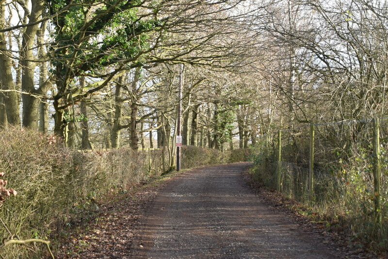 Caveridge Lane © N Chadwick :: Geograph Britain and Ireland