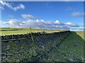 Enclosure wall on Cefn Merthyr