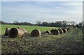 SJ7551 : Hay bales in field by Jonathan Hutchins