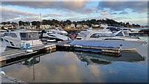 SZ0389 : Late afternoon reflections, Salterns Marina by David Martin