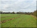 Field path following the fence line