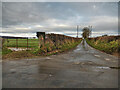 S4937 : Gate and Lane by kevin higgins