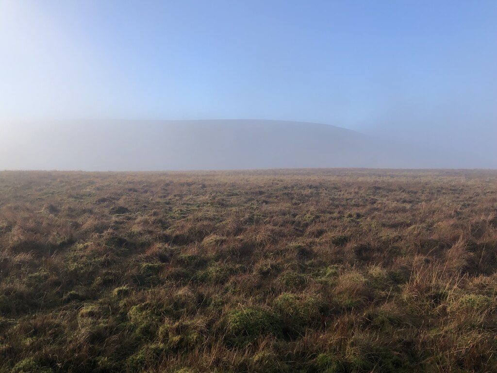 Moorland, Wooplaw Edge © Richard Webb :: Geograph Britain And Ireland