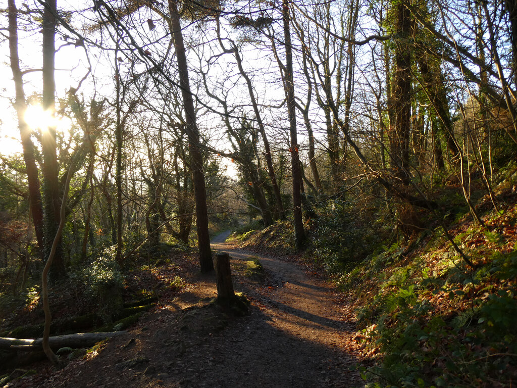 Cave Hill Trail path on wooded hillside © Gareth James :: Geograph ...