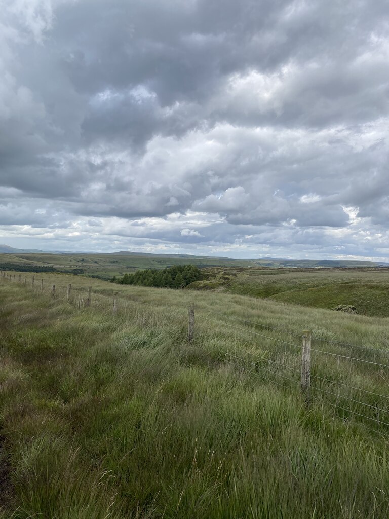 Fenceline Bentley Moss © thejackrustles :: Geograph Britain and Ireland