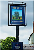 SO8793 : Old Bush (2) - sign, High Street, Wombourne, Staffs by P L Chadwick
